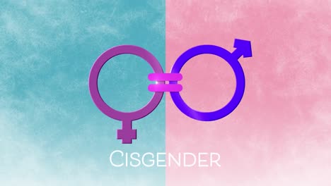 Animation-Des-Textes-Cisgender,-Weibliches-Und-Männliches-Geschlechtssymbol,-Verbunden-Durch-Gleichheitszeichen,-Auf-Blau-Und-Rosa