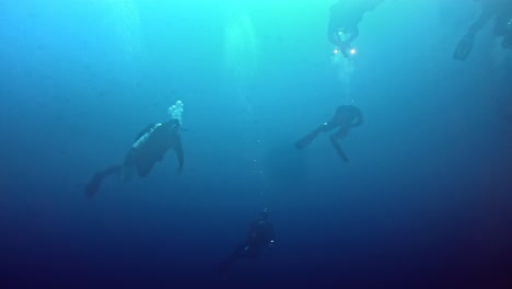 Silhouettes-of-divers-on-the-background-of-deep-blue