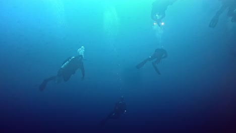 silhouettes of divers on the background of deep blue