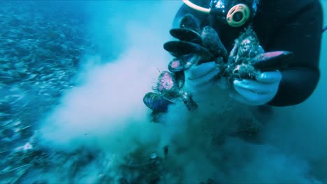 fishermen collect scallops sticking together from the bottom of blue sea with fine sand floats on the water