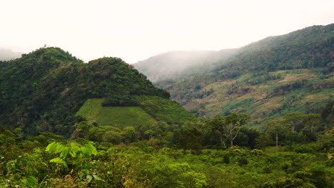 Majestuosos-Campos-De-Café-Y-Terreno-Montañoso-Del-Paisaje-De-Vietnam-Con-Cielo-Nublado