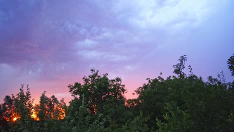Panoramic view of blue sky with impressive lightning at sunset. Bright lightning on the cloudy sky over the green trees in summer.