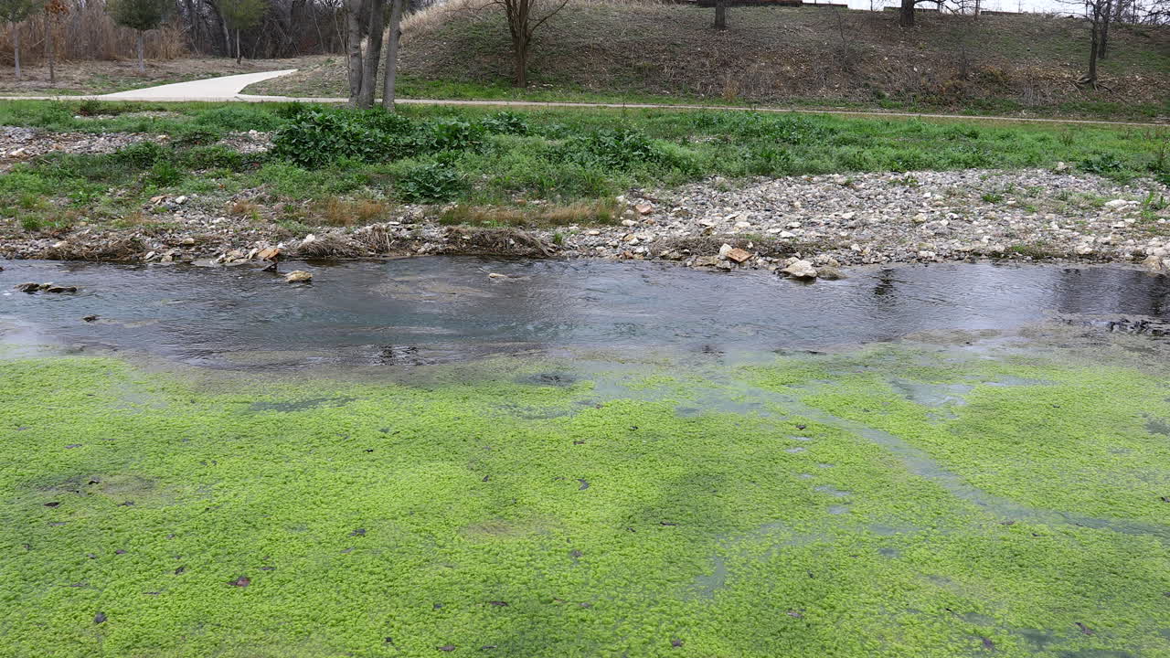 arroyo del oso en keller texas