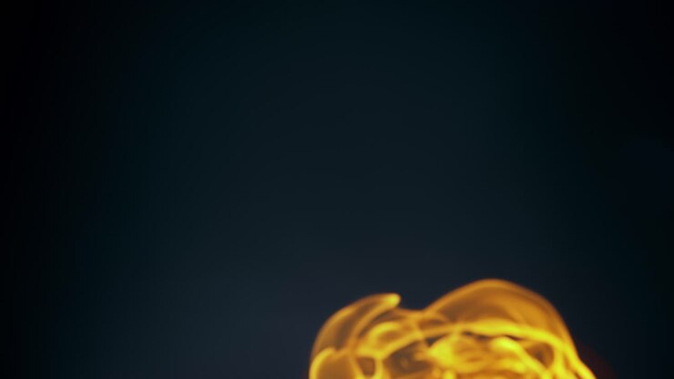 BBQ Beef Burger Patty Flipped And Spinning In Smoke And Fire In Slow Motion and Macro