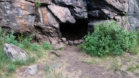 pov, lauf durch den wald in die sicherheit einer höhle im norden von arizona