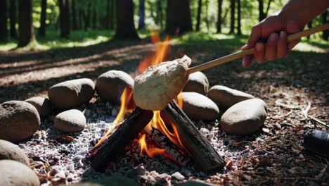 roasting bread over a campfire in the forest