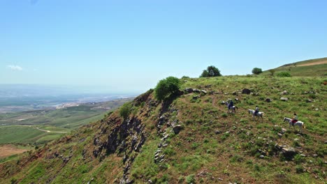 Caballos-Subiendo-Una-Colina-Sobre-El-Mar-De-Galilea---Israel