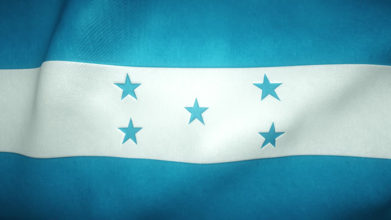 바람에 흔들리는 온두라스 발