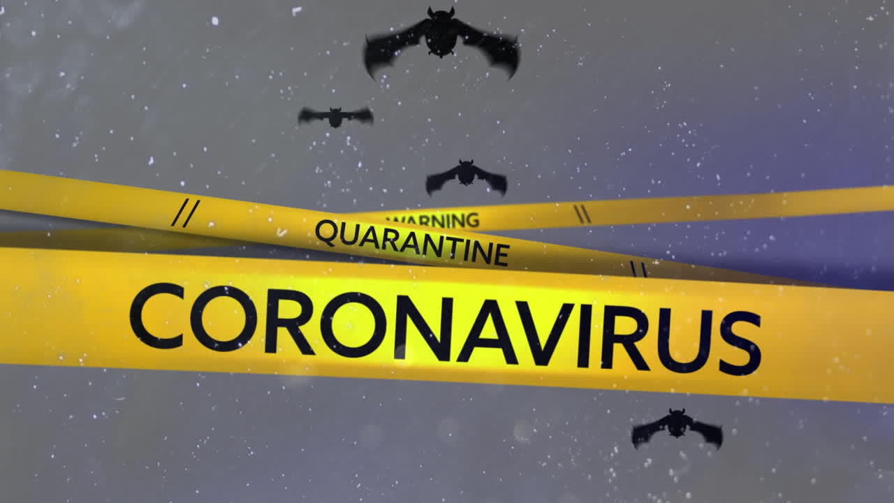 animación de murciélagos volando con cinta de advertencia amarilla con texto de coronavirus en fondo gris