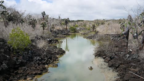 Paisaje-De-Las-Islas-Galápagos,-Belleza-Y-Día-Soleado