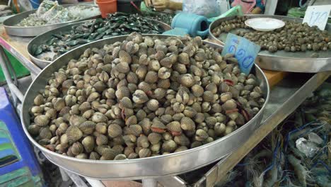 Tegillarca-Granosa-Muschel-In-Metallplatte-Zum-Verkauf-Auf-Dem-Asiatischen-Thailändischen-Meeresfrüchte-Fischmarkt