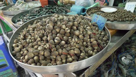 tegillarca granosa almeja en placa de metal para la venta en el mercado de pescado de mariscos asiáticos de tailandia