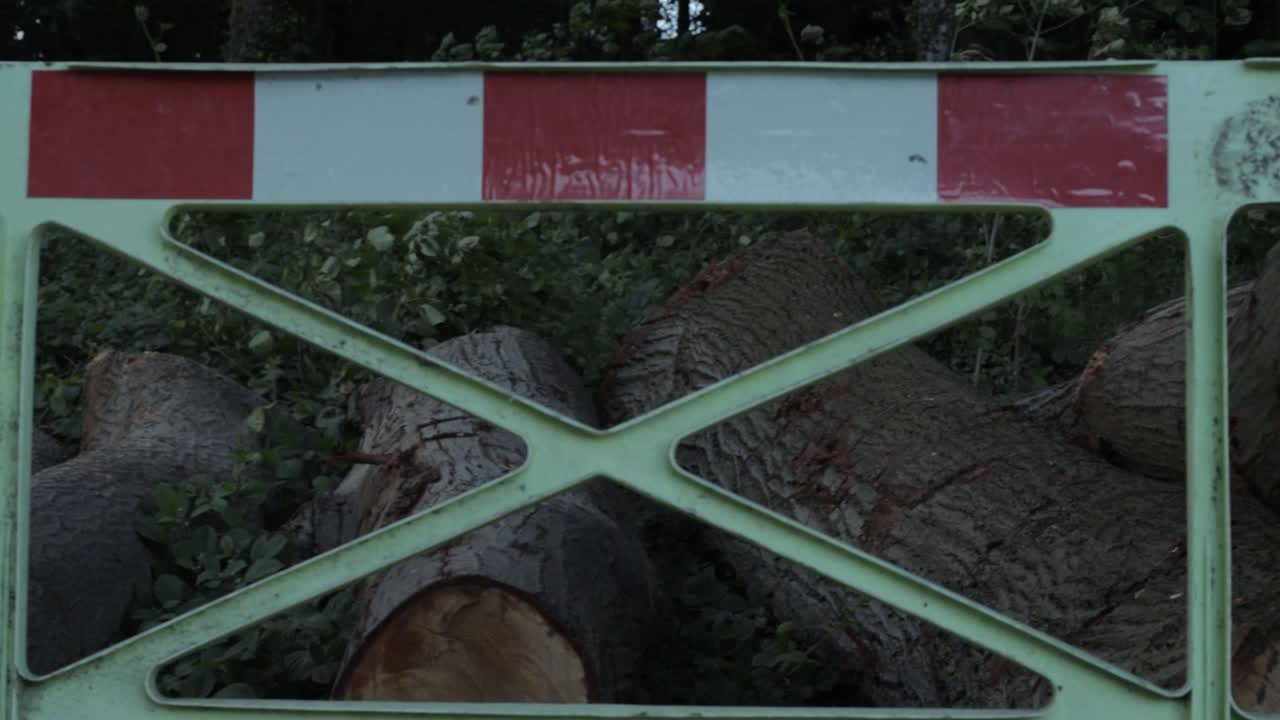 Hazard safety barriers after fallen logs medium panning shot