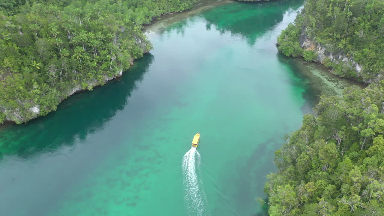 보트와 함께 열대 강 만