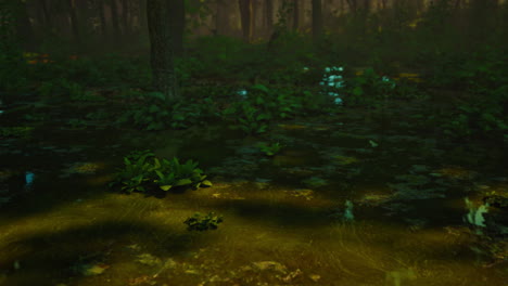 mystic foggy swamp with trees