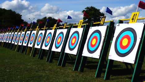 targets for archery. shooting in the summer.