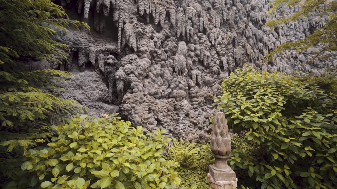 paisaje de jardín único con follaje verde y pared de tierra - tiro medio