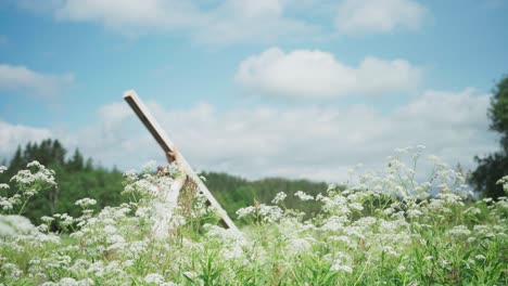 Mann-Trägt-Holzpfosten-Im-Blumenfeld---Breit