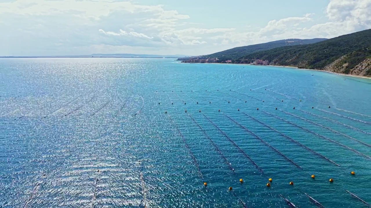 Allevamento di cozze situato in acque poco profonde vicino a una costa con mare azzurro e limpido e colline distanti sotto un cielo nuvoloso.