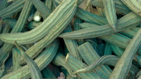 fresh-organic-ridged-gourd-from-farm-close-up-from-different-angle