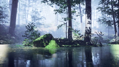 Mist-on-pond-in-forest-with-fog