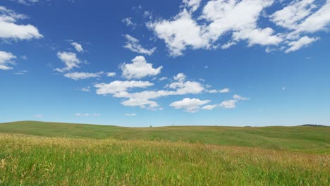 Timelapse-De-Nubes-De-Verano-Que-Fluyen-Sobre-Un-Prado-De-Campo-De-Hierba-Verde-Durante-El-Verano