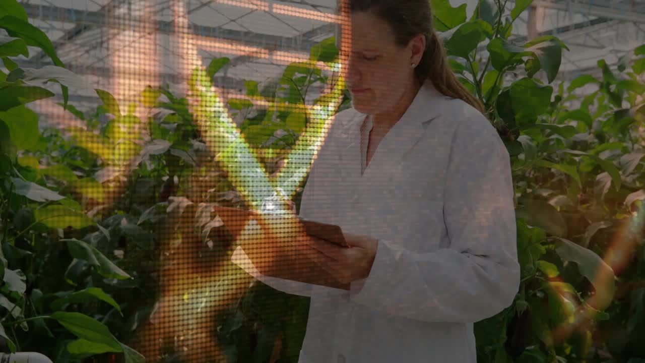 Scientist entering greenhouse gripping clipboard, inspecting peppers and logging agricultural data