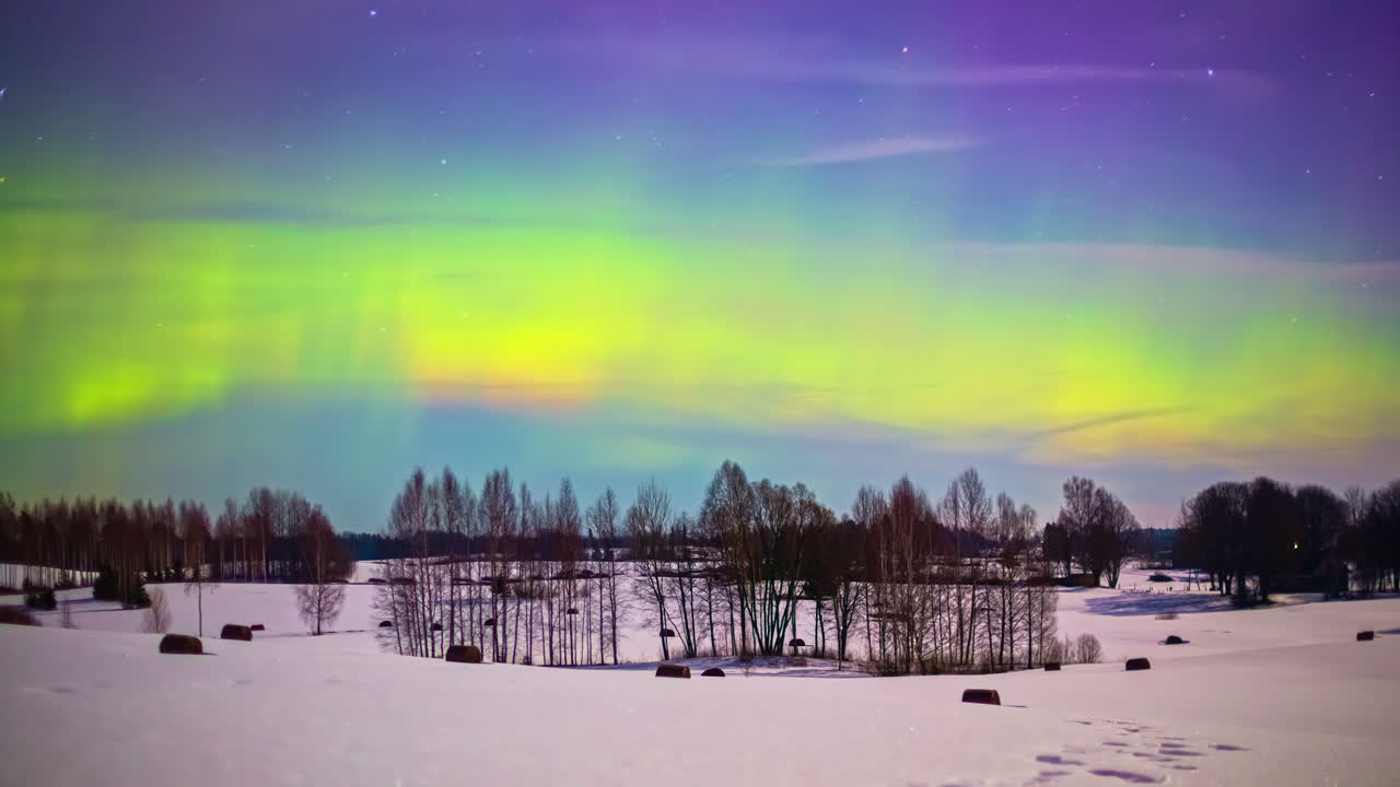 bosquecillo de árboles sin hojas en un campo cubierto de nieve con aurora boreal bailando en el cielo durante la luna llena - lapso de tiempo