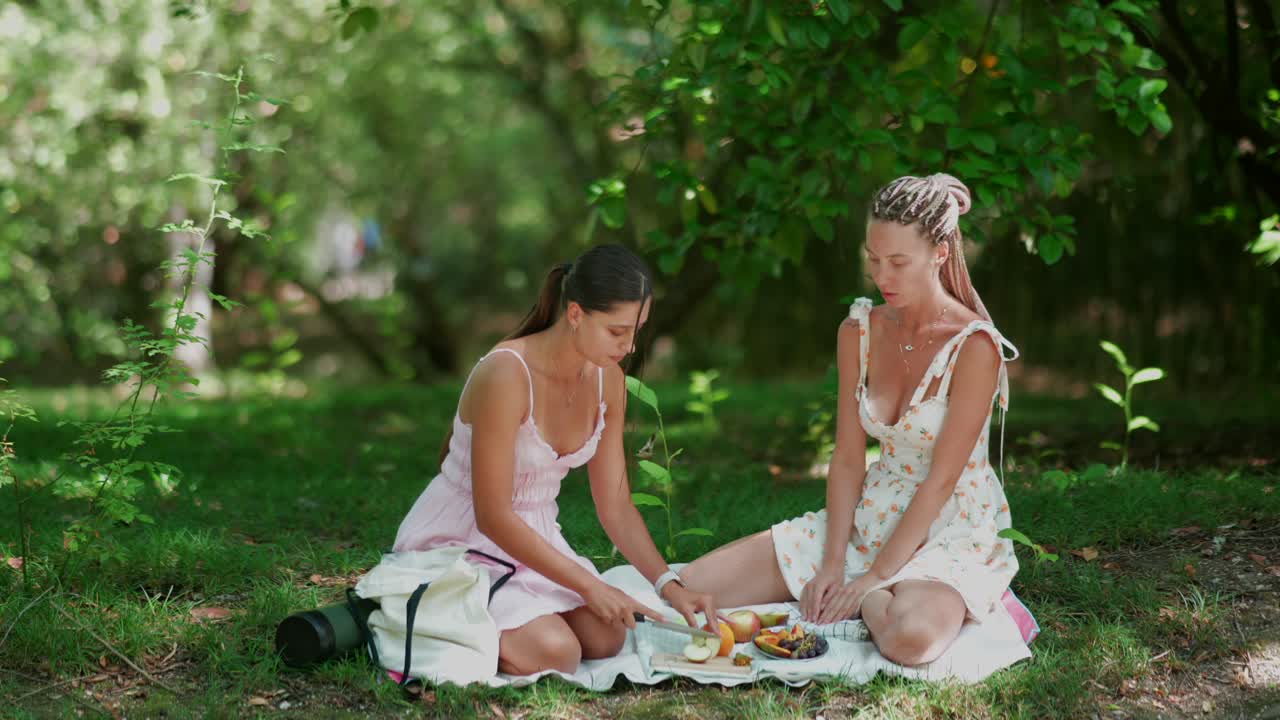 Women having a picnic in a park