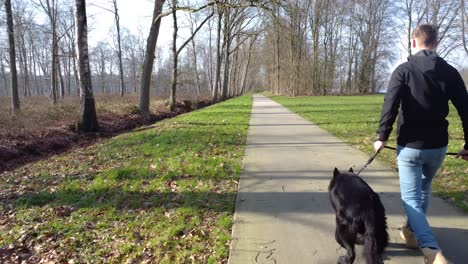 shot of man with dog walking away from the camera