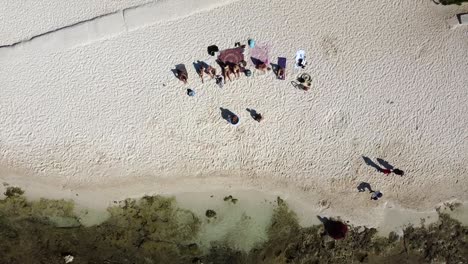 Toma-Aérea-De-Un-Grupo-Haciendo-Actividad-De-Baño-De-Hielo-En-La-Playa-En-Playa-Del-Carmen-México