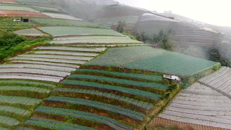 Growing-crops-on-terrace-fields-of-Indonesia-during-light-rainfall,-aerial-ascend-view