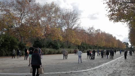 people walking in a park during autumn