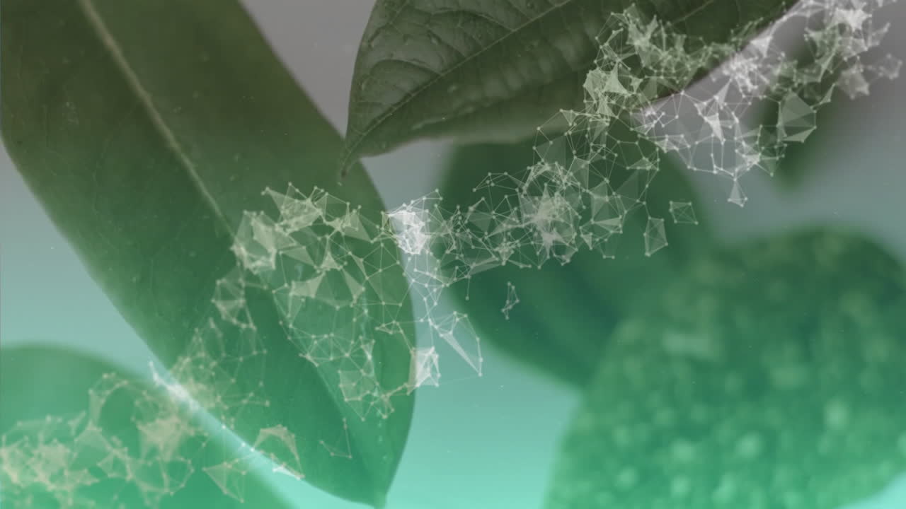 Green leaves with digital network animation overlay in natural environment