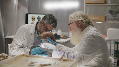 two senior archaeologists analyzing ancient skull together in laboratory