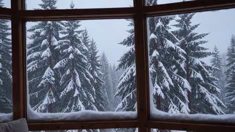snowy forest view from a window