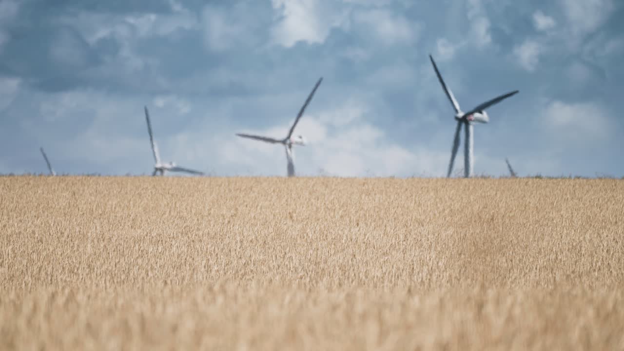밀밭에 있는 풍력 터빈