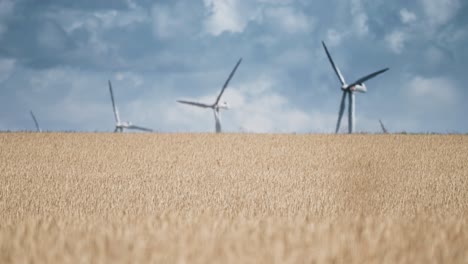 Una-Fila-De-Aerogeneradores-En-Los-Campos-De-Trigo