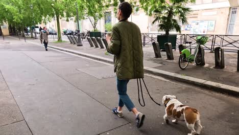 casual stroll with a dog through a tree-lined pathway.