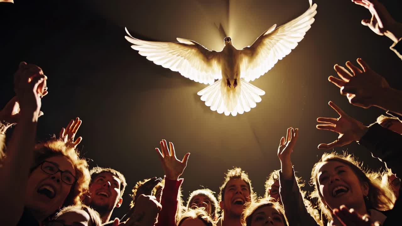 Low-angle video shot capturing a dove in flight with people reaching upwards, symbolizing hope