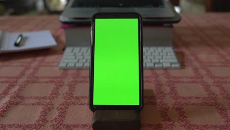 green mock-up screen smartphone in vertical portrait mode.