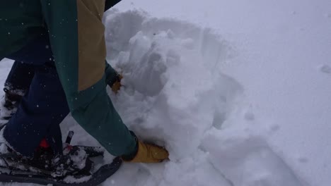 man cutting out a block of snow with a shovel in order to build a shelter in the french alps under heavy snowfall