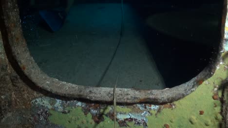 bubbles rise in shipwreck hallway