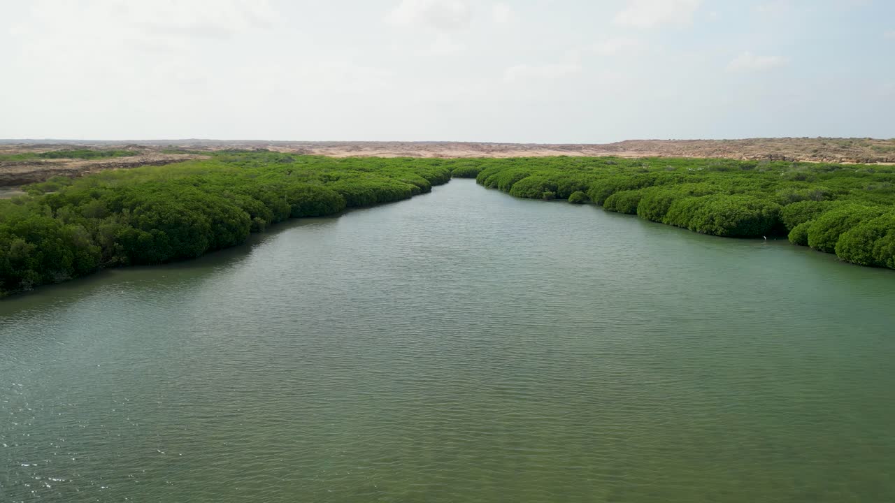 descubra el bosque de al-qandal en jazan, arabia saudita" este impresionante video destaca la belleza natural del bosque de al-qandal, una joya escondida en jazan (arabia saudita).