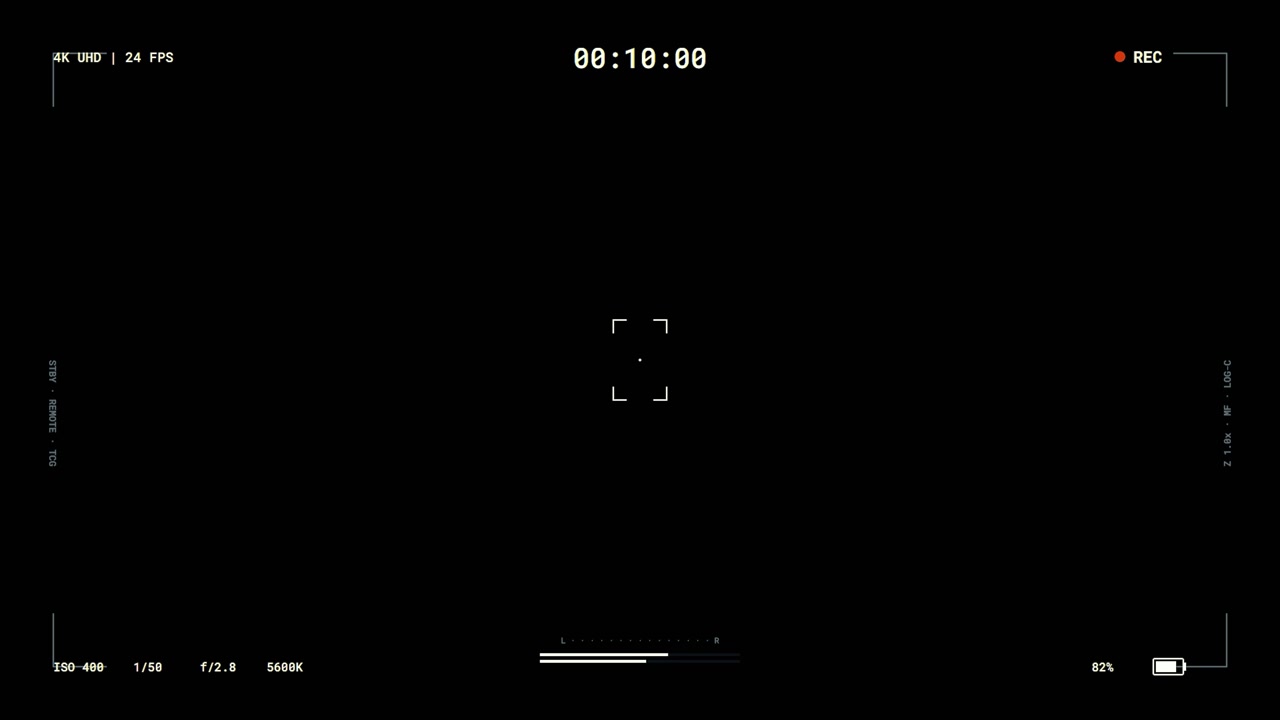 Digital Camera Viewfinder Overlay with Recording Indicator