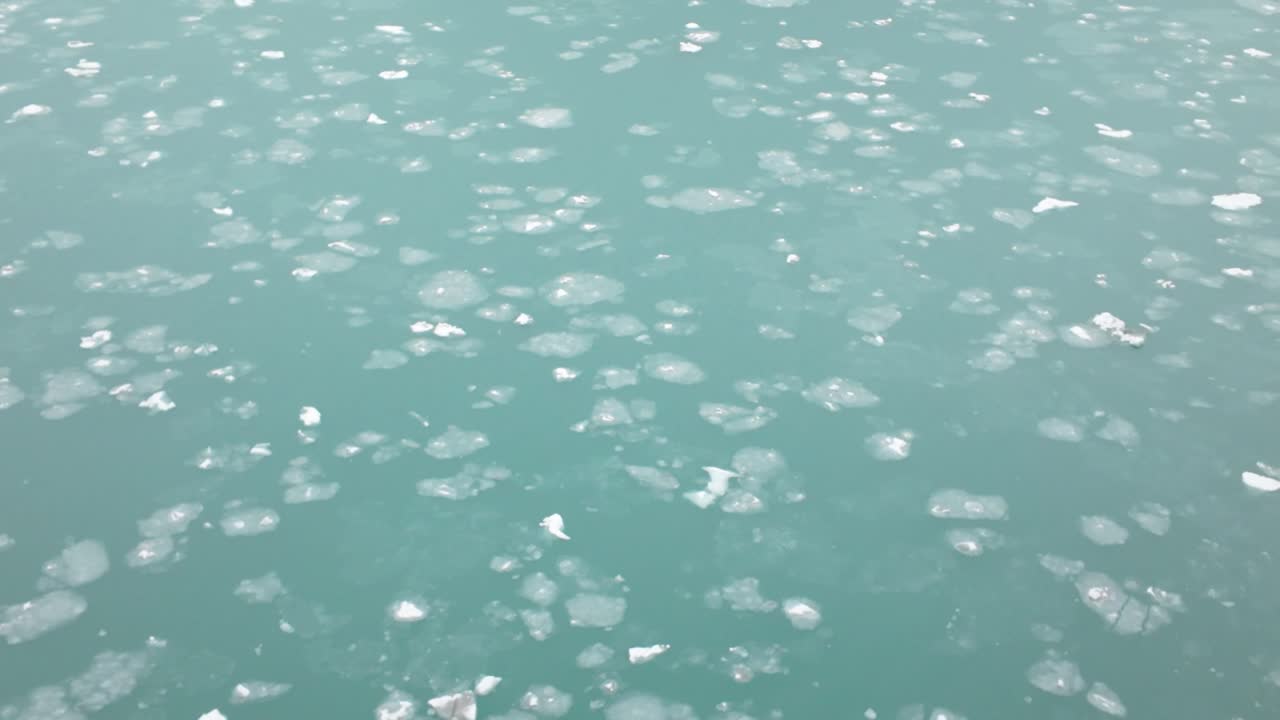 冬のアラスカ州グレイシャー湾で氷海をジンバルドリーでパン撮影した映像。4K、30FPS。
