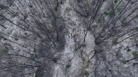 Luftaufnahme-über-Verärgertem-Mann,-Der-Durch-Apokalyptische-Waldbrand-Naturkatastrophe-Geht