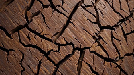 cracked dry earth texture
