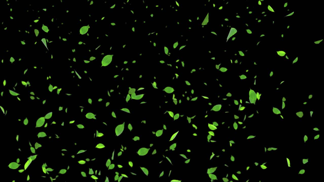 Natural green leaves falling realistic 3d loop animation 3d 4k natural sale weather wedding winter