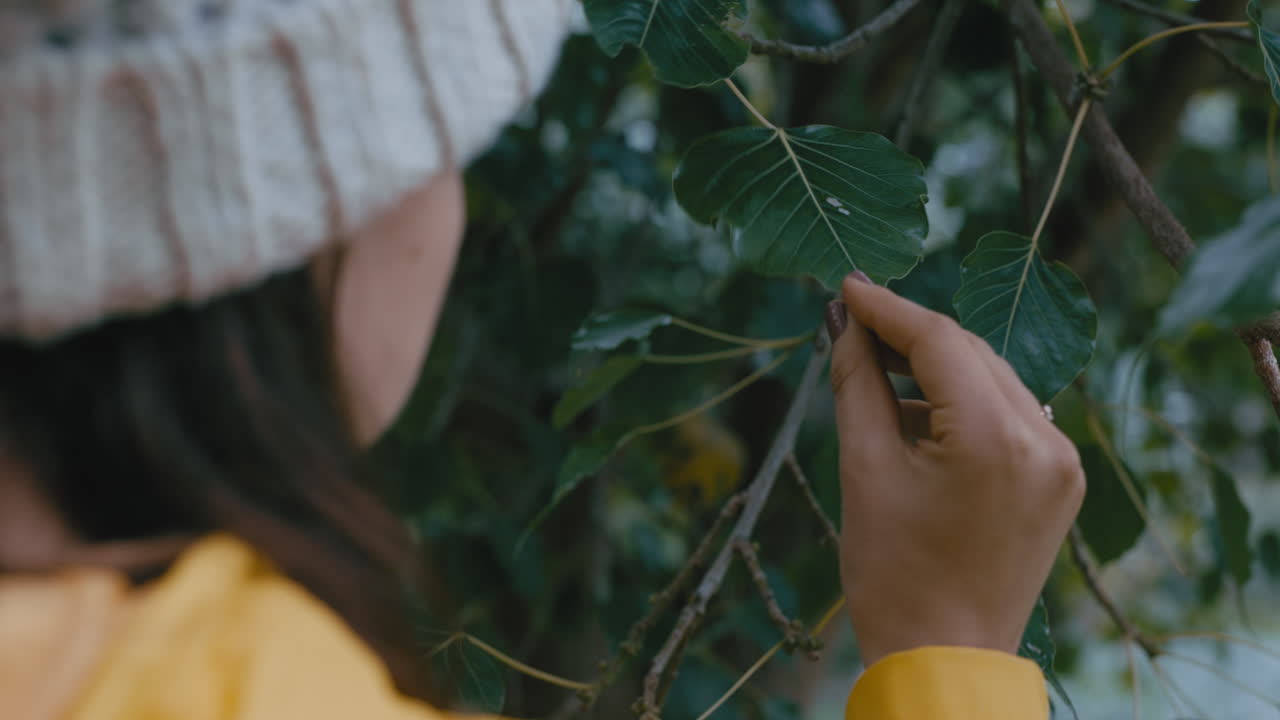 mujer de cerca disfrutando de la naturaleza tocando la hoja del árbol mirando la belleza natural en el parque del jardín